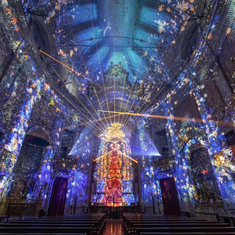 Billet Coupe-File Spiritus Porto : Le spectacle multimédia sans l'attente