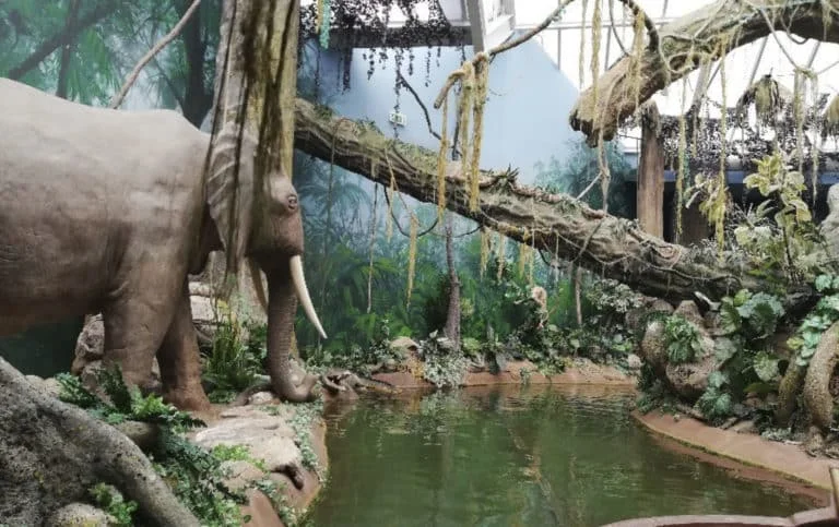 Billet Coupe-File World of Discoveries : Votre embarquement prioritaire à Porto